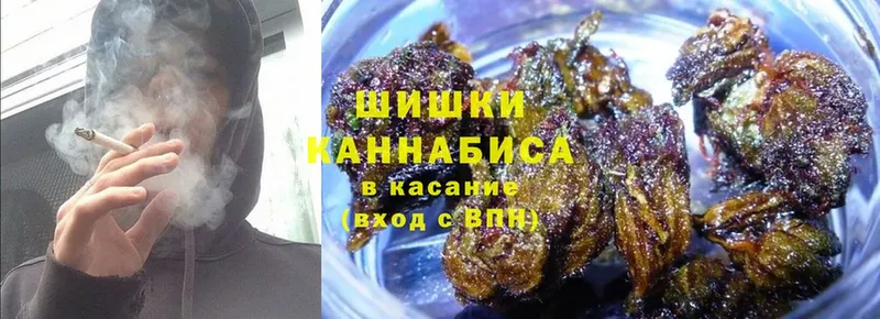 Марихуана White Widow  kraken сайт  Дальнегорск  как найти наркотики 